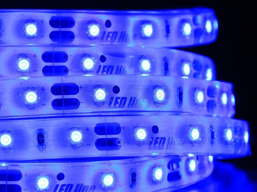 Taśma LED line 300 SMD 3528 niebieska w osłonie silikonowej IP67 5 metrów