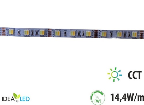 Taśma LED CCT  (3000K + 6000K) 12V 72W 300xSMD5025 IP20 5m