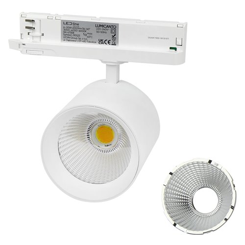Reflektor 3-fazowy Lumicanto 12-42W 36-60° CCT biały