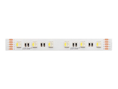 Taśma LED line 300 SMD5060 24V RGBW + biały ciepły 2600-2868K 5 metrów