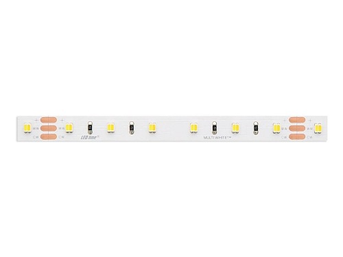 Taśma LED line CCT 300 SMD3528 24V MULTIWHITE 3000-6000K 5 metrów