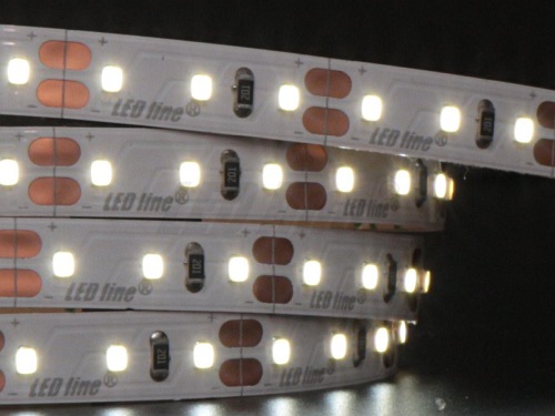 Taśma LED line 600 SMD2835 12V biała zimna 6500K 5 metrów