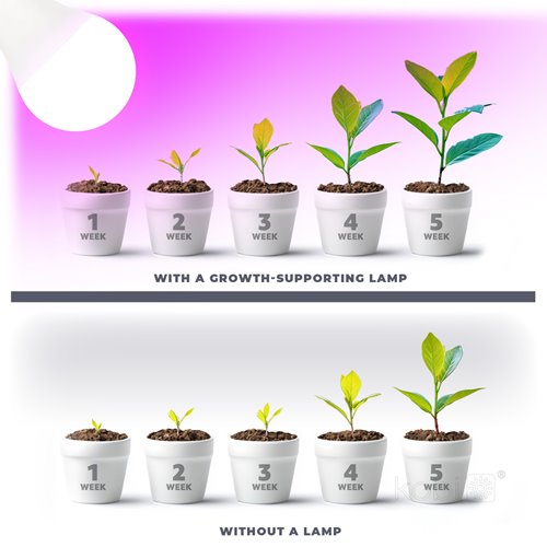 Żarówka LED E27 A60 do uprawy roślin Planty 11W