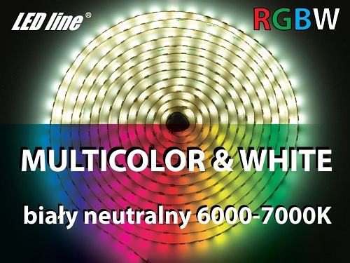 Taśma LED LED line® 300xSMD5060 12V 96W RGBW 6000-7000K