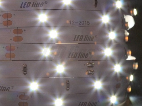 Taśma LED line 150 SMD 3528 biała zimna 6500K 5 metrów