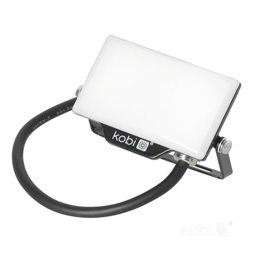 Naświetlacz LED 10W Delyo 800lm Neutralny