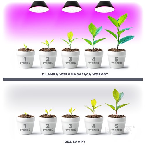 Żarówka LED E27 do uprawy roślin Planty 7W czarna