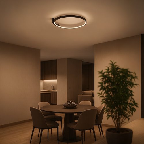 Lampa sufitowa LED nowoczesna okrąg Luna 18W 4000K