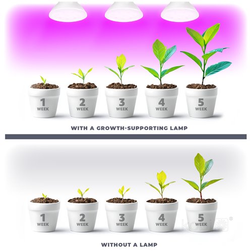 Żarówka LED E27 do uprawy roślin Planty 7W biała