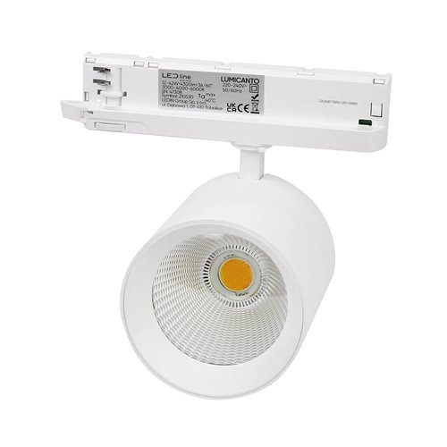 Reflektor 3-fazowy Lumicanto 6-20W 36-60° CCT biały
