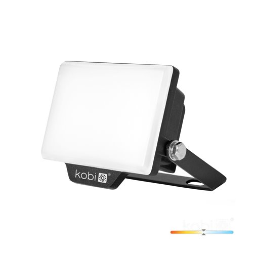 Naświetlacz LED 10W Delyo 800lm Neutralny