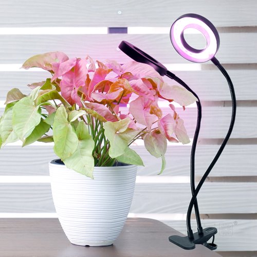 Lampa LED podwójna z klipsem do uprawy roślin 8W