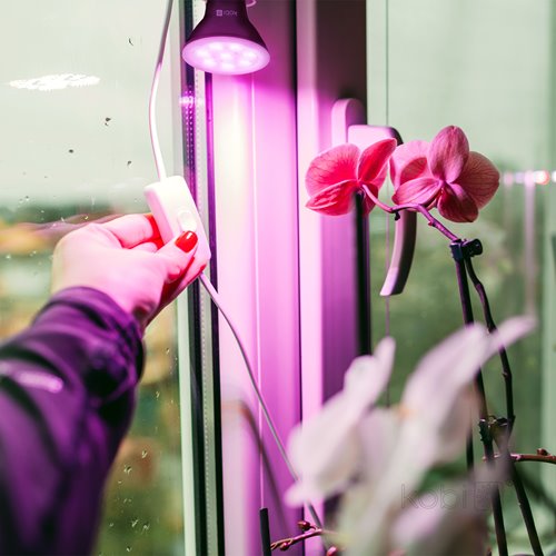 Żarówka LED E27 do uprawy roślin Planty 7W czarna