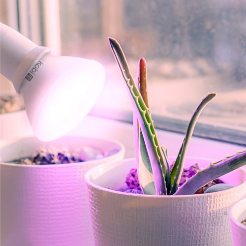 Żarówka LED E27 do uprawy roślin Planty 7W biała