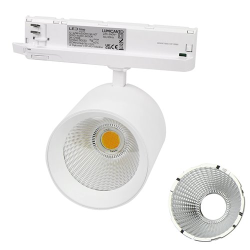 Reflektor 3-fazowy Lumicanto 6-20W 36-60° CCT biały