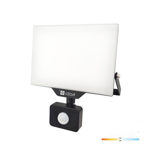 Naświetlacz LED z czujnikiem 50W Delyo 4250lm Neutralny