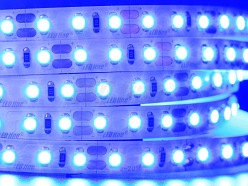 Taśma LED line 600 SMD 3528 niebieska 5 metrów