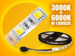 Taśma LED CCT  (3000K + 6000K) 12V 72W 300xSMD5050 IP20 5m