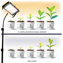 Halogen LED do roślin 45W na statywie