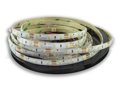 Taśma LED line 300 SMD 3528 biała zimna 10000-13000K w powłoce silikonowej IP65 5 metrów