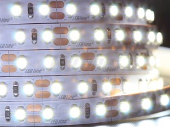 Taśma LED line 600 SMD 3528 biała zimna 10000-13000K 5 metrów