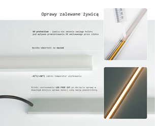 Oprawa liniowa LED IP68 AQU srebrna 4500K 3m