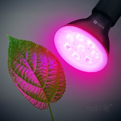 Żarówka LED E27 do uprawy roślin Planty 7W czarna
