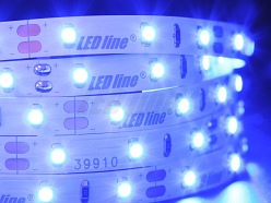 Taśma LED line 300 SMD 3528 niebieska 5 metrów