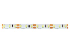 Taśma LED line 600 SMD2835 12V 6500K IP65 - 5 metrów