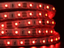 Taśma LED line 300 SMD 3528 czerwona w powłoce silikonowej IP65 5 metrów