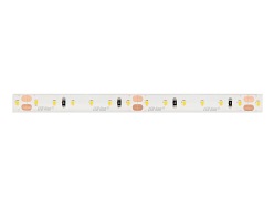 Taśma LED line 600 SMD2835 24V 10000-13000K IP65 - 5 metrów