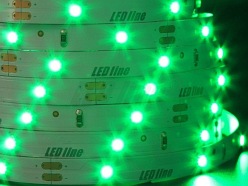 Taśma LED line 150 SMD 3528 zielona 5 metrów
