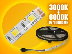 Taśma LED CCT  (3000K + 6000K) 12V 72W 300xSMD5050 IP65 5m