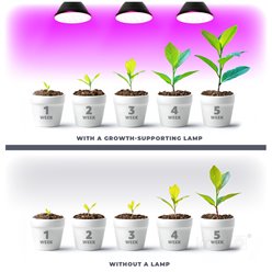 Żarówka LED E27 do uprawy roślin Planty 7W czarna