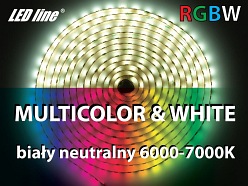 Taśma LED LED line® 300xSMD5060 12V 96W RGBW 6000-7000K