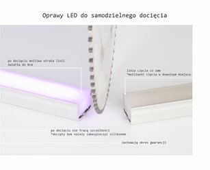 Oprawa liniowa LED IP68 Garden srebrna RGB+CCT 1m