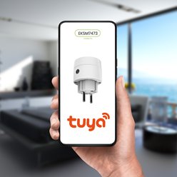 Wtyczka Wi-Fi Tuya Smart Pojedyncza 10A IP20