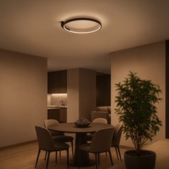 Lampa sufitowa LED nowoczesna okrąg Luna 18W 4000K