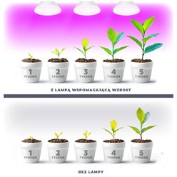 Żarówka LED E27 do uprawy roślin Planty 7W biała
