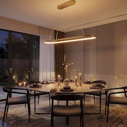 Nowoczesna lampa wisząca LED Oval 30W 20x120cm 2CCT złota