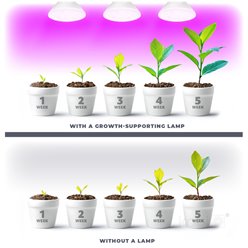 Żarówka LED E27 do uprawy roślin Planty 7W biała