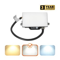 Naświetlacz LED 10W Delyo 800lm Neutralny