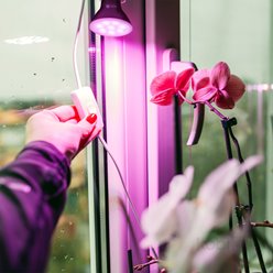 Żarówka LED E27 do uprawy roślin Planty 7W czarna