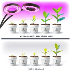 Lampa LED podwójna z klipsem do uprawy roślin 8W