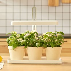 Lampa LED do uprawy roślin z podstawką Bloom 20W