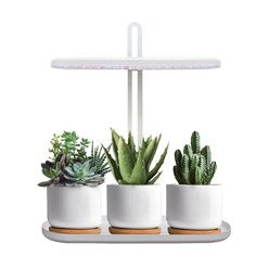 Lampa LED do uprawy roślin z podstawką Bloom 12W