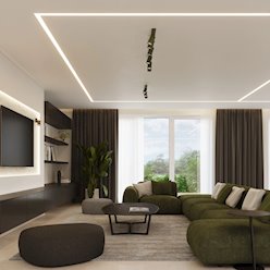Kinkiet ścienny Reflektor Ring 1xGU10 zielony oliwkowy
