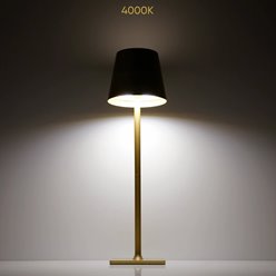 Lampa stołowa LED 4w1 3,5W 400lm CCT złota 2x2000mAh