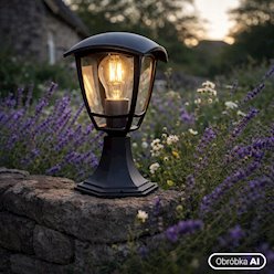 Lampa ogrodowa stojąca NIKO 1xE27 30cm czarny